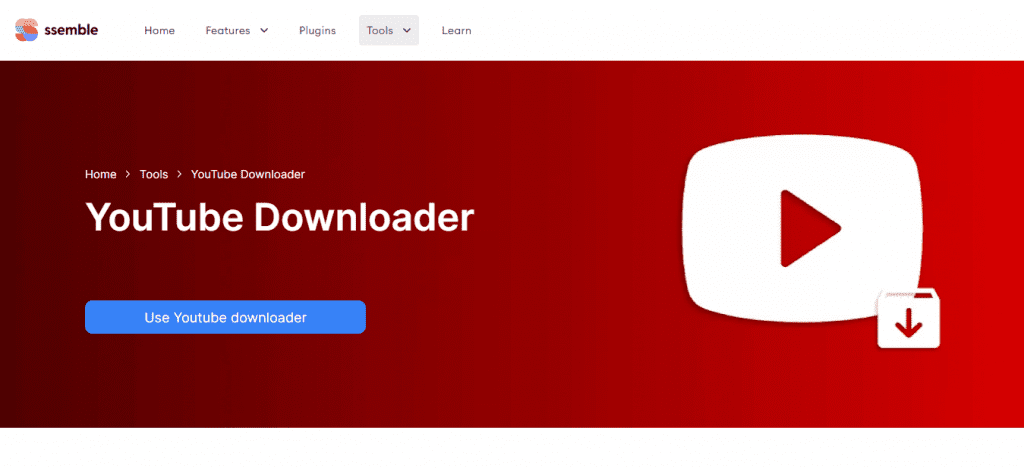 Ssemble screenshot Youtube downloader page